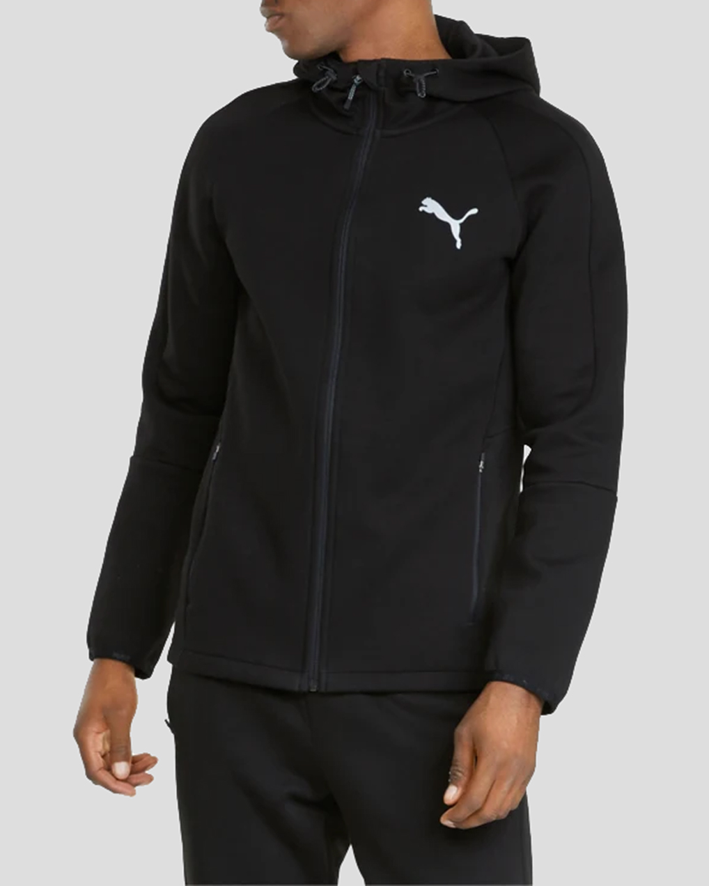 evostripe fz hoodie puma